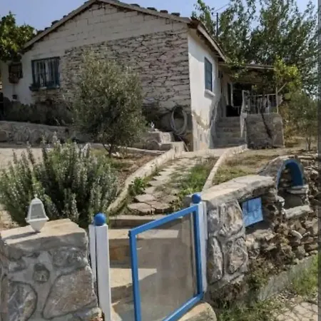 Traditional Stone *